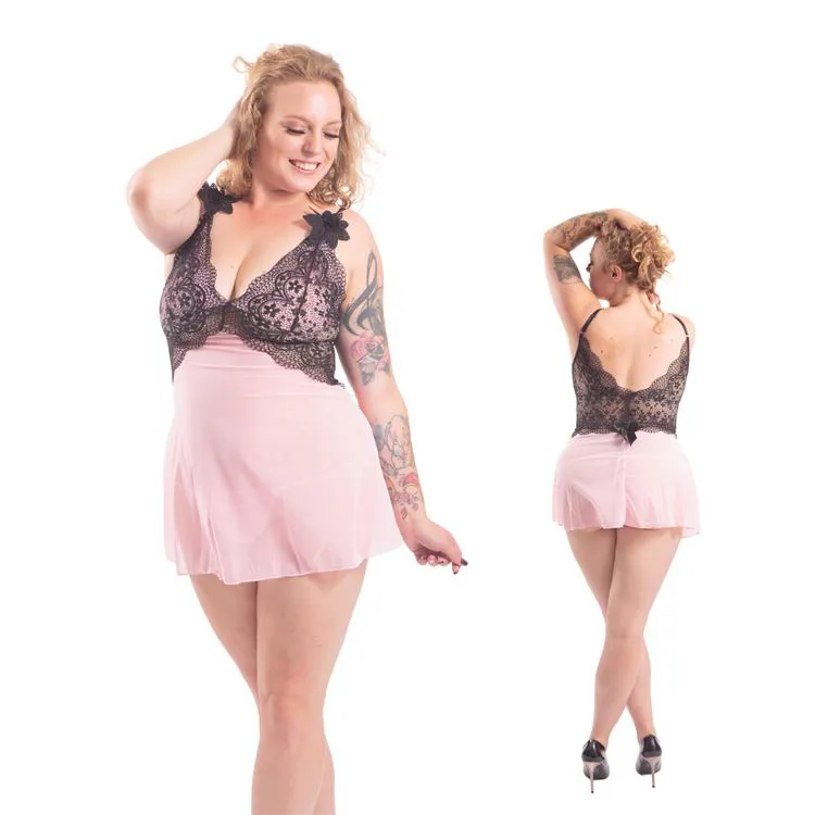 Nelis Nuisette ROSE