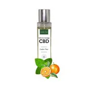 Lacher-prise CBD - Huille 100mL - Menthe Poivré