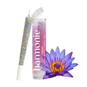 Equilibre - Joint CBD Harmonie - Apaisant