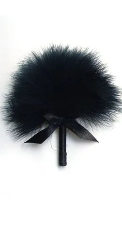 Plume à caresse